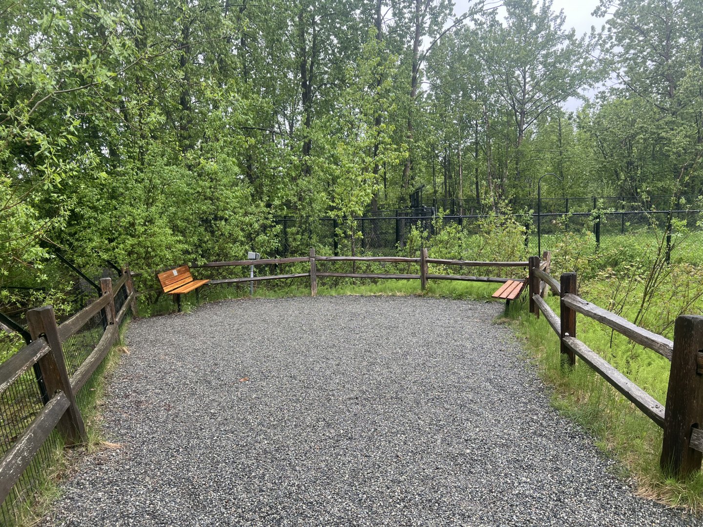 Sittin area at the end of the Campbell Creek Path