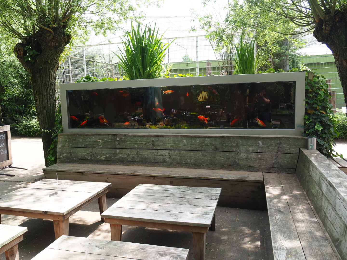 Sitting area and outdoor goldfish aquarium, 2019-05-25