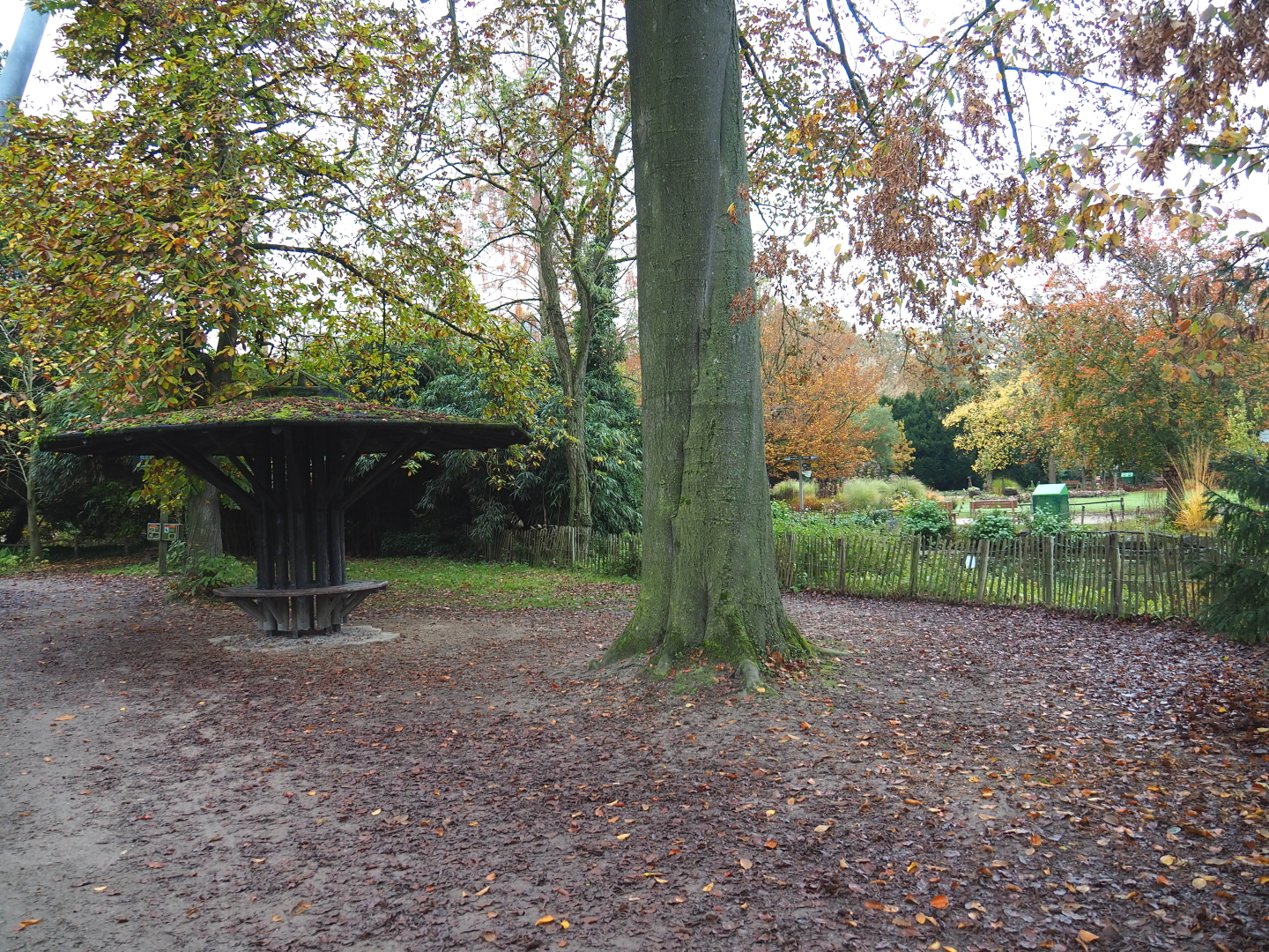Sitting area and pelican pond viewing area next to walkway from parking lot to entrance, 2021-11-06