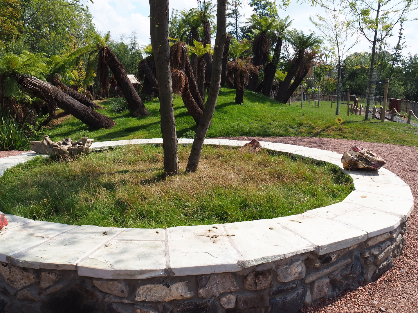 Sitting area in the kangaroo area, 2020-09-02