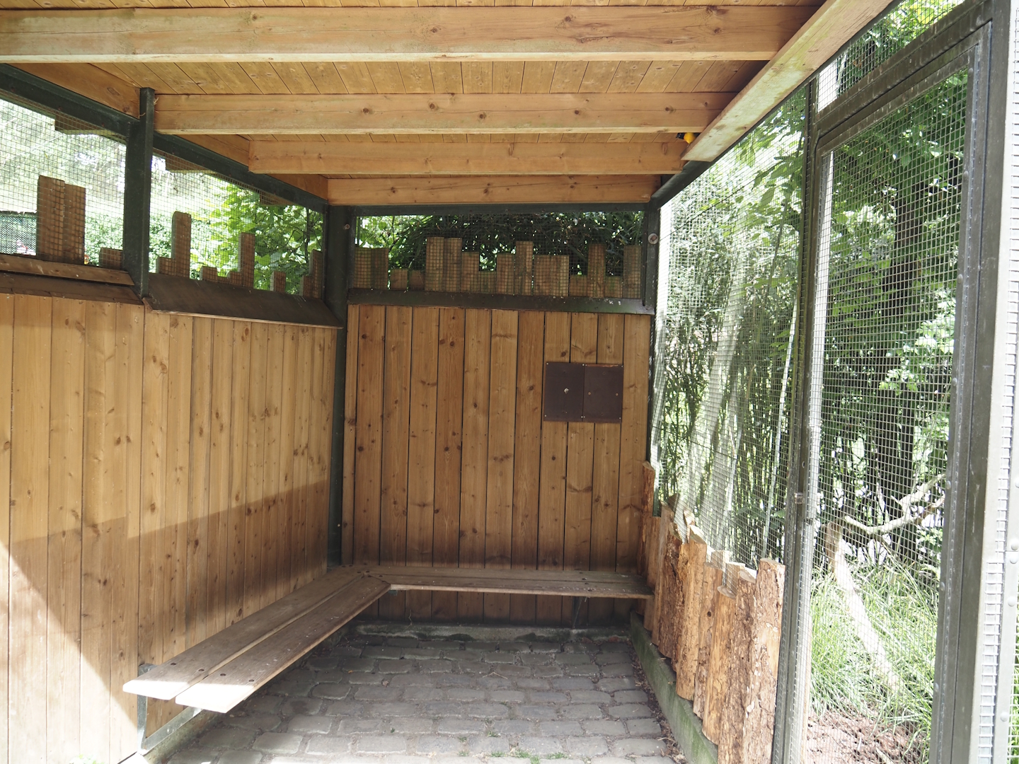 Sitting area in the walk-through aviary for Village weaver and Spotted dikkop, next to the Edward's pheasant aviary, 2025-05-22