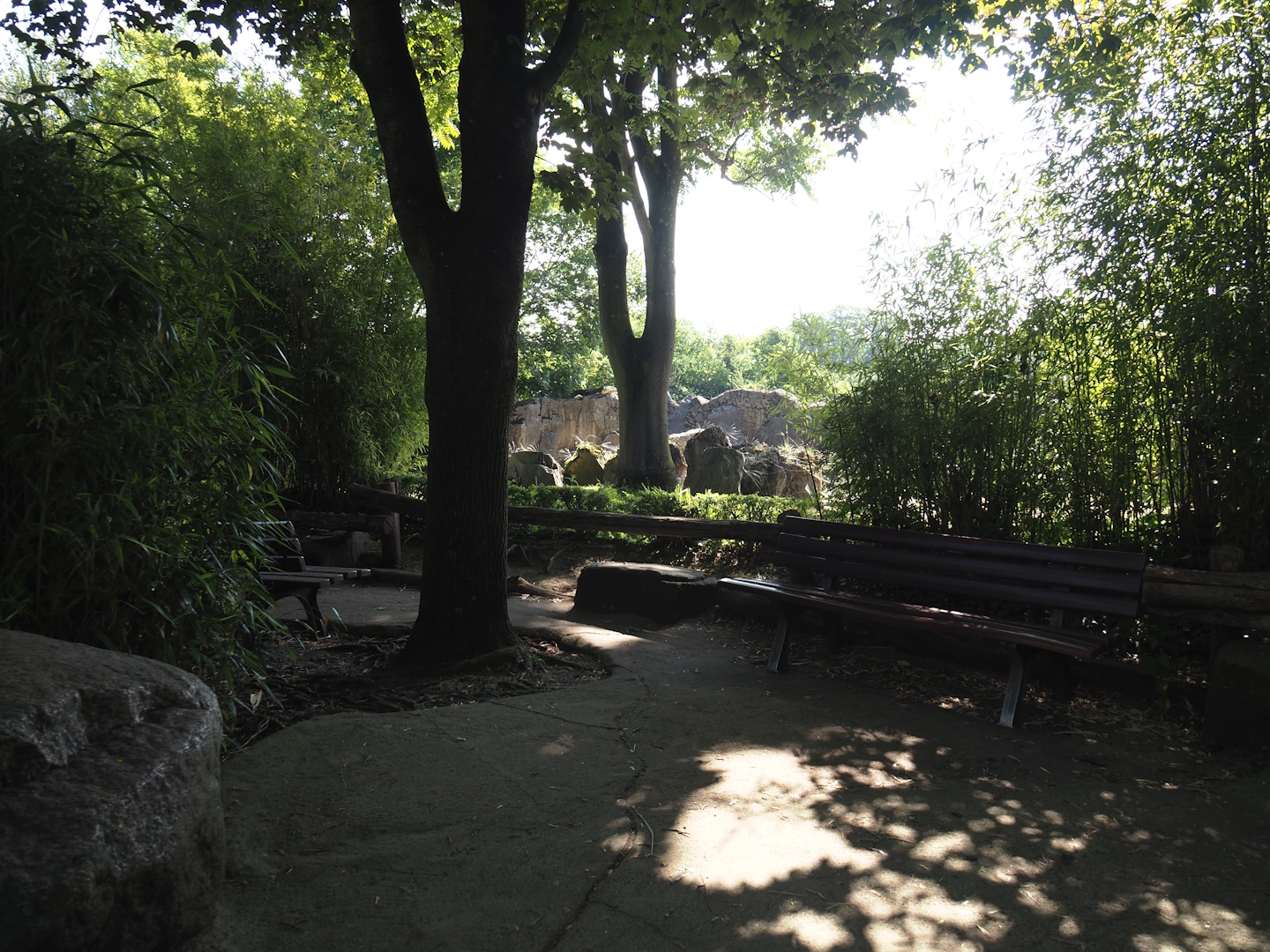Sitting area near one of the African bush elephant paddocks, 2024-06-08