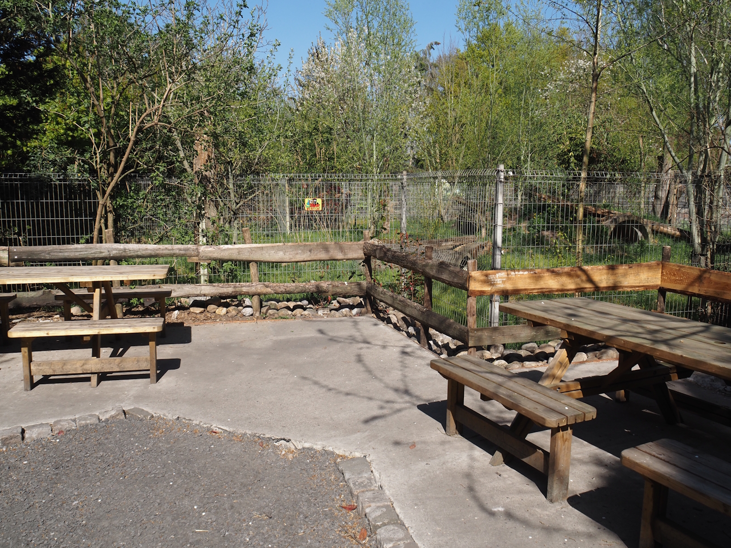 Sitting area on the site of the former old tayra exhibit, 2025-04-12
