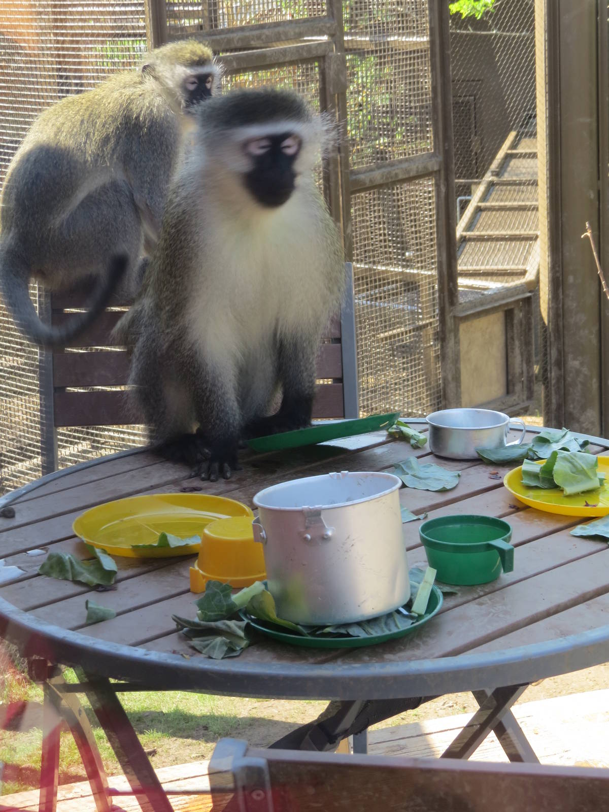 Sitting down for dinner