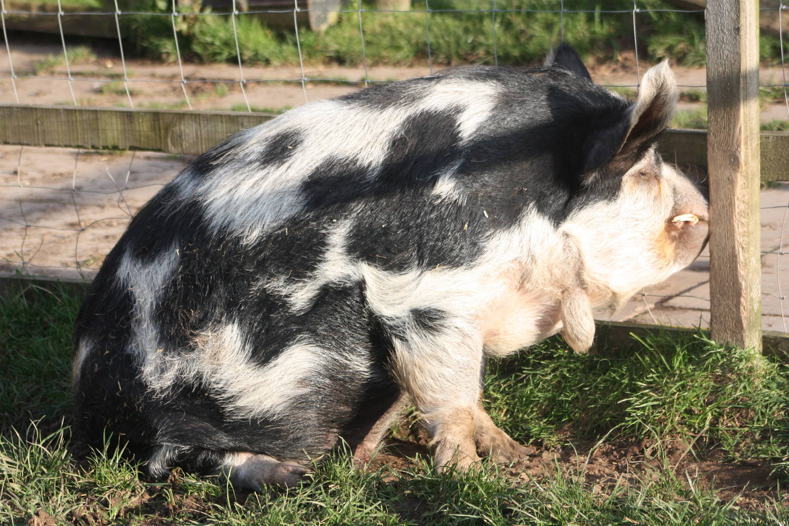 Sitting in the sun waiting for a senorita to show, 23rd October 2014