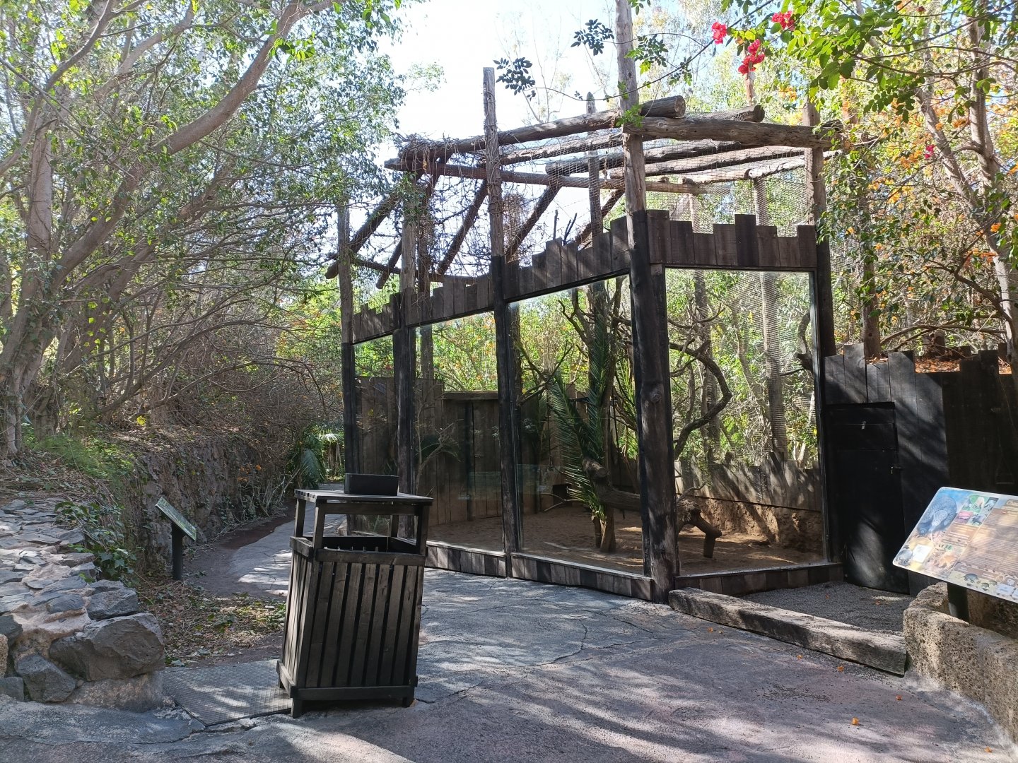 Six-banded armadillo and squirrel monkey exhibit