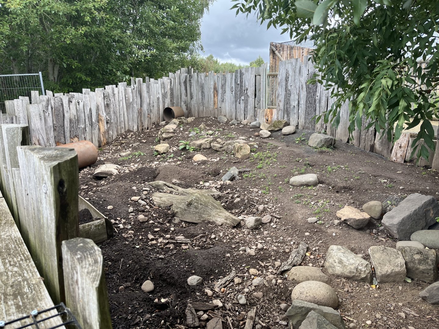 Six-banded armadillo enclosure 1.9.25