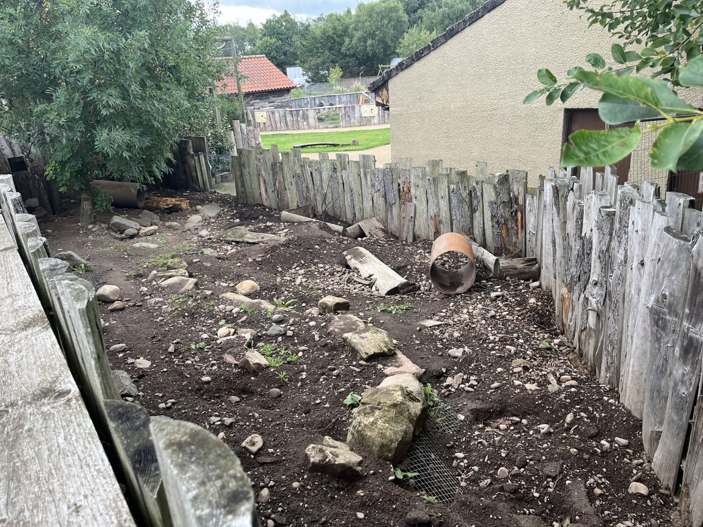 Six-banded armadillo enclosure 1.9.25