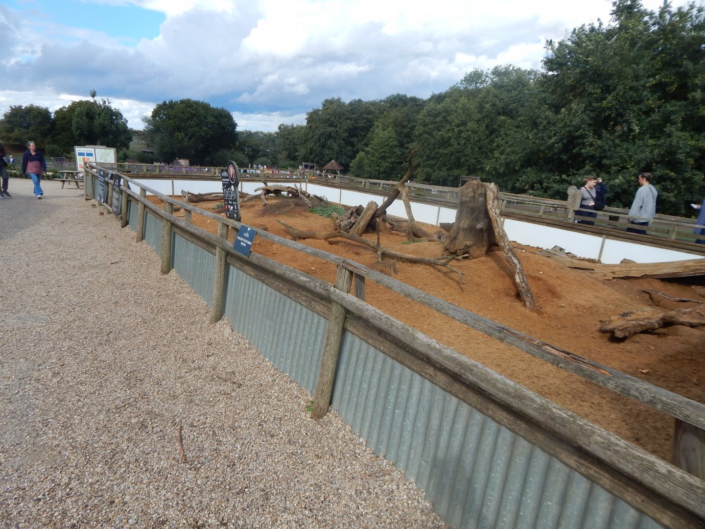 Six-banded armadillo enclosure 130925