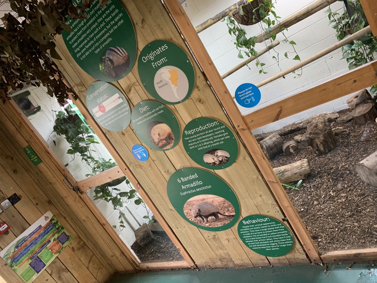 Six-banded Armadillo Enclosure at Northumberland College Zoo (2020)