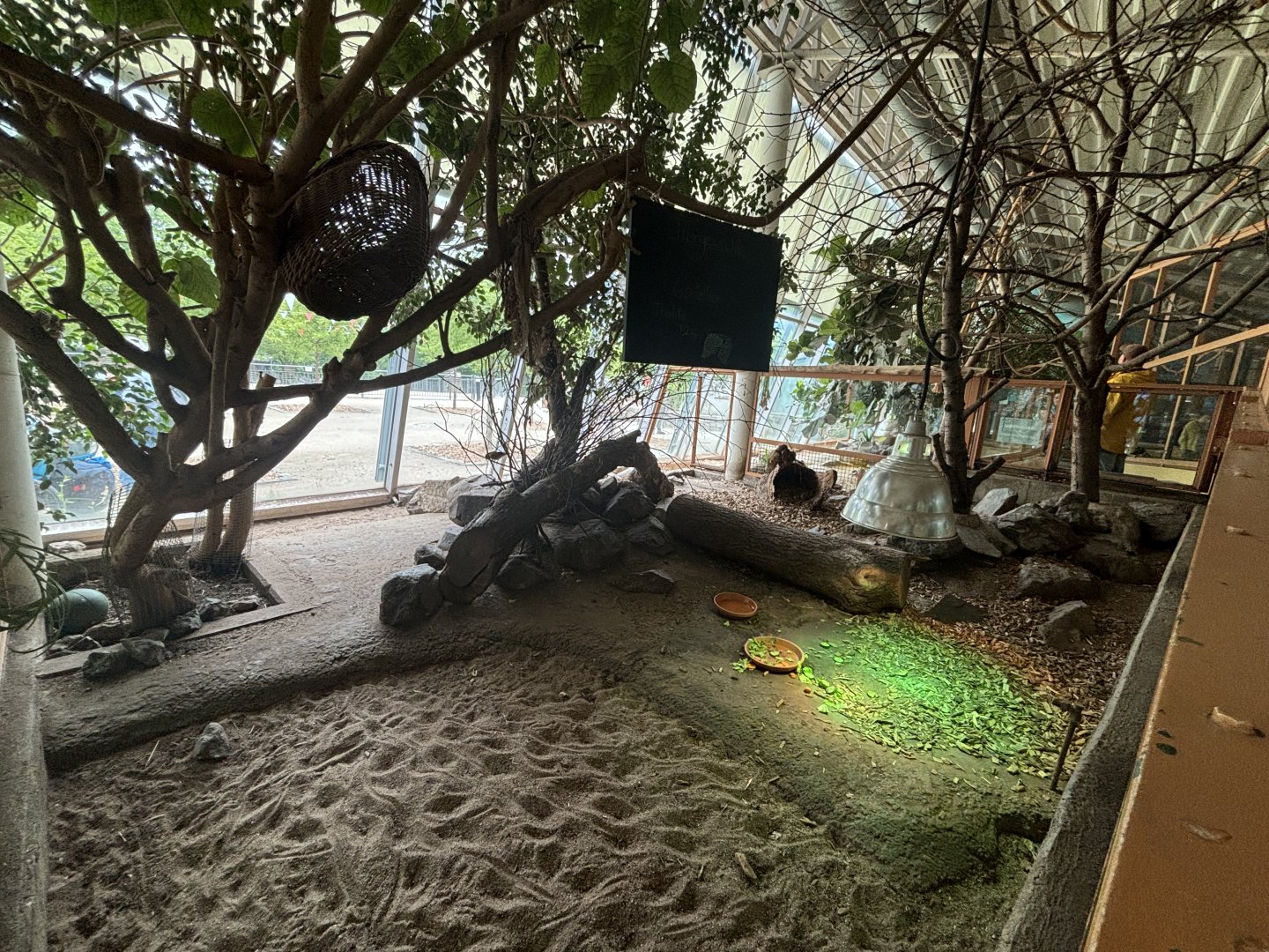 Six-banded Armadillo Enclosure at Zoologischer Garten Hof