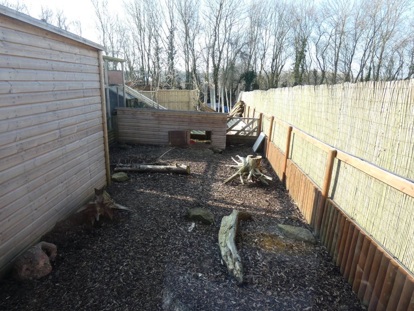 Six-banded Armadillo Enclosure
