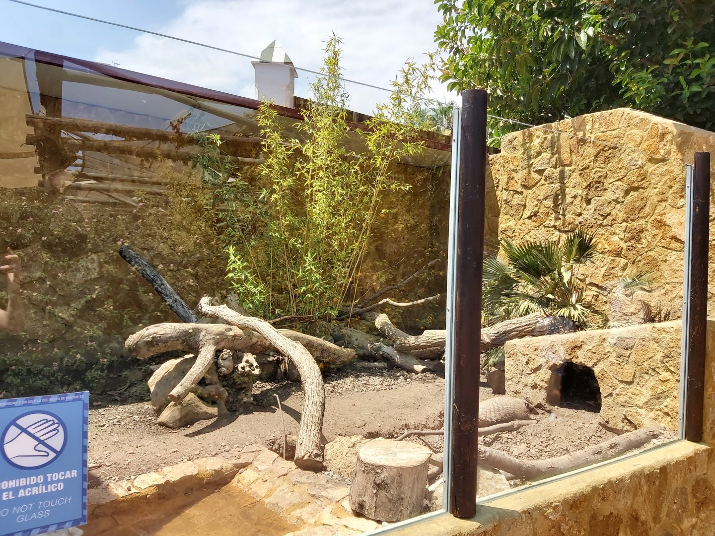 Six-banded armadillo enclosure