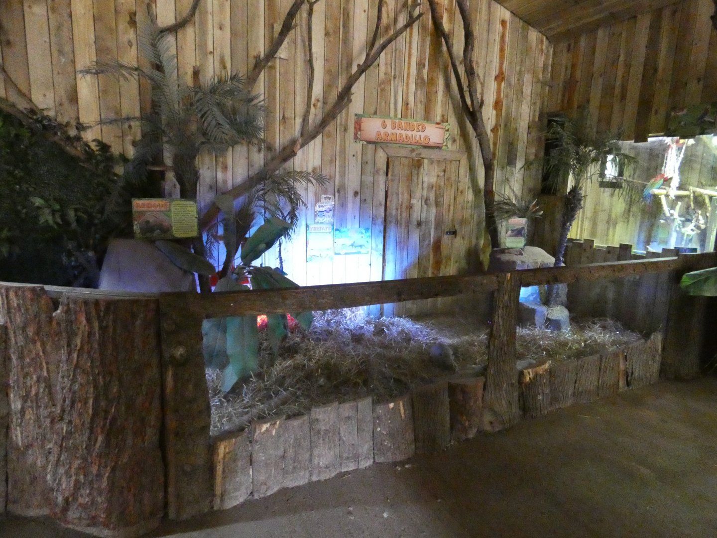 Six-banded armadillo enclosure