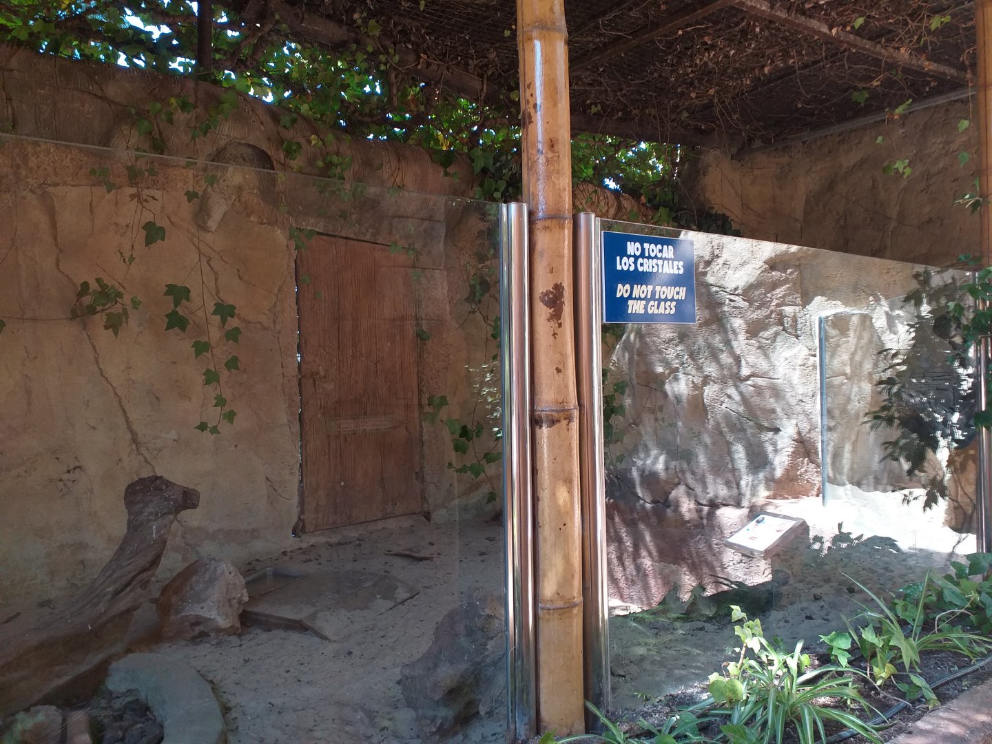 Six-banded armadillo exhibit -MundoMar Benidorm (2021)