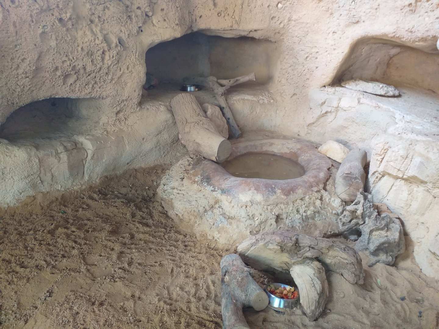 Six-banded armadillo exhibit -TerraNatura Benidorm (2021)