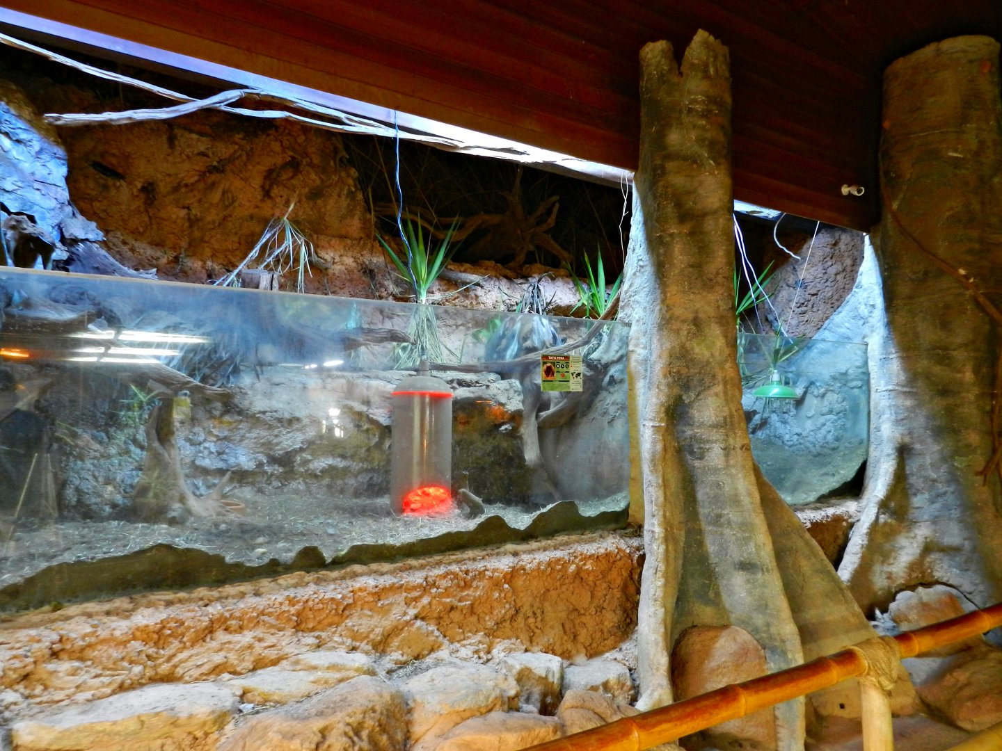 Six-banded armadillo exhibit - Zooparque itatiba