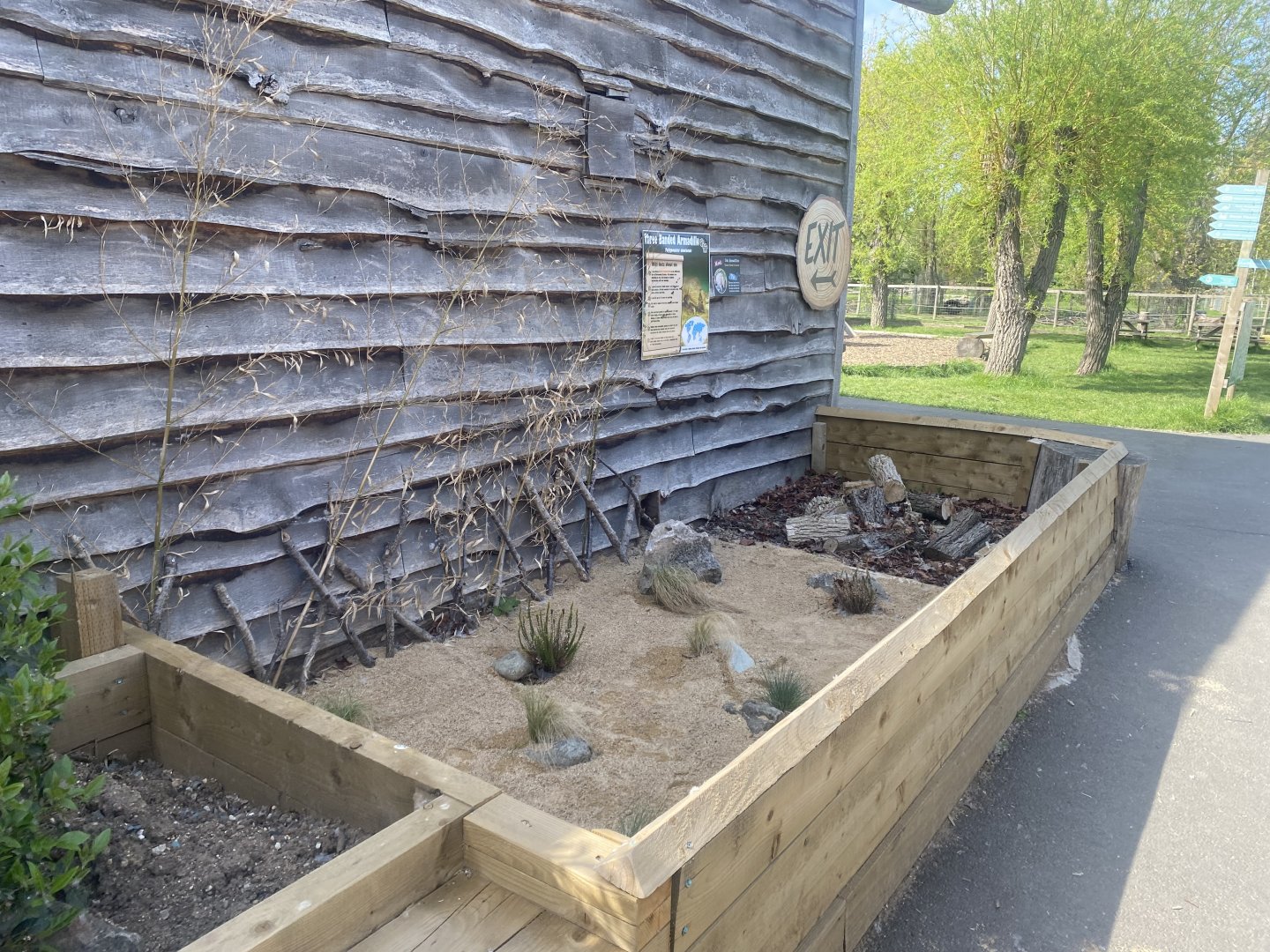Six-banded armadillo outdoor enclosure 280425