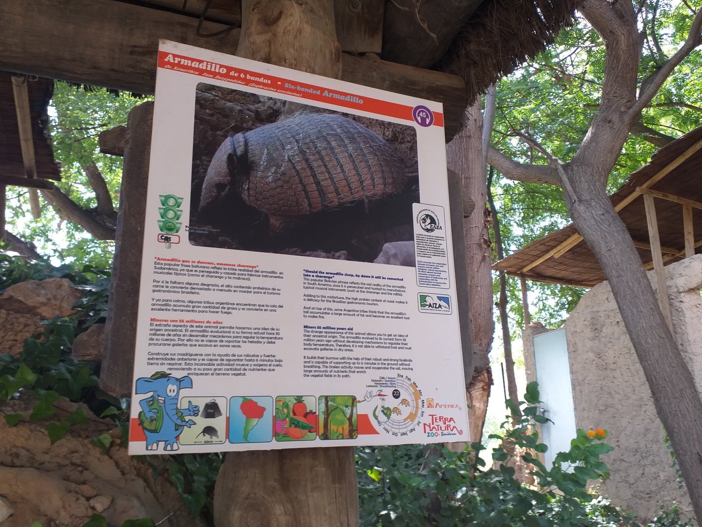 Six-banded armadillo sign -TerraNatura Benidorm (2021)