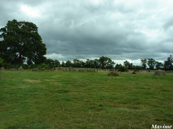 Sixth exhibit (Cars-Part) : Lions