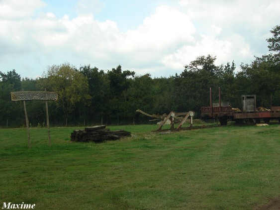 Sixth exhibit (Cars-Part) : Lions