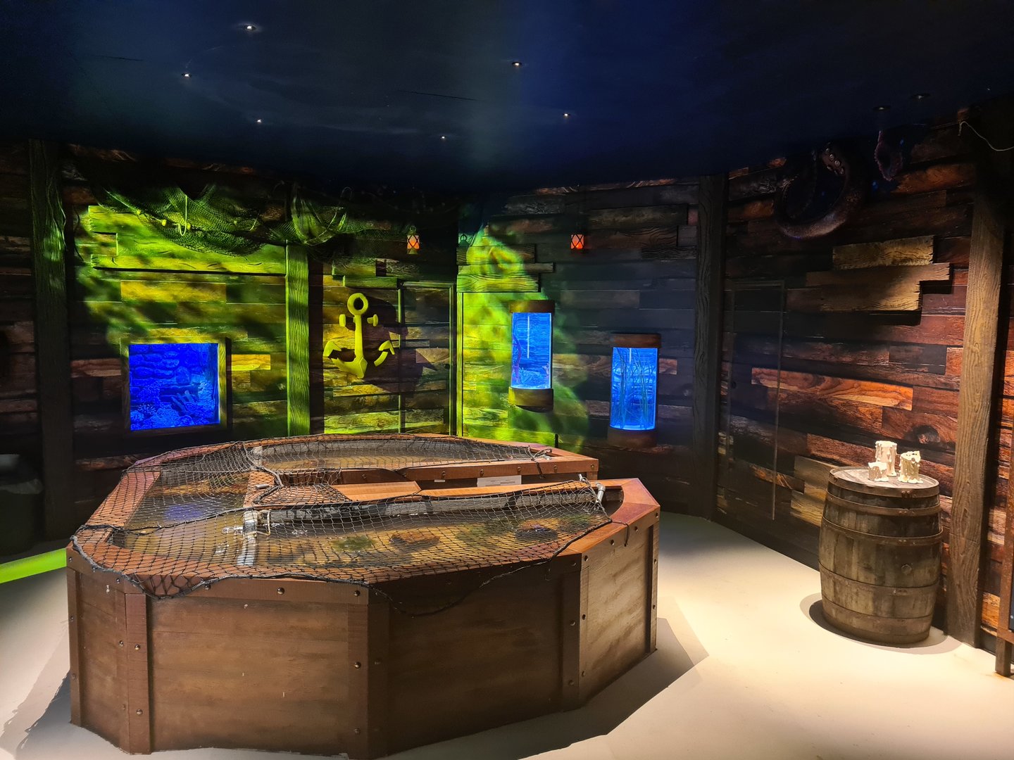 Sixth room - "Treasures of the sea"