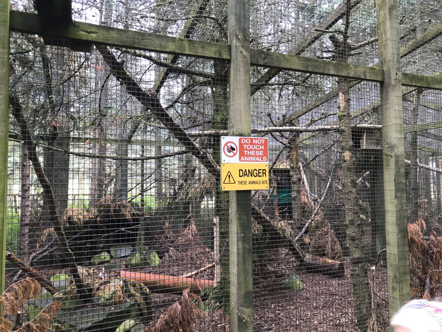 Sixth wildcat enclosure