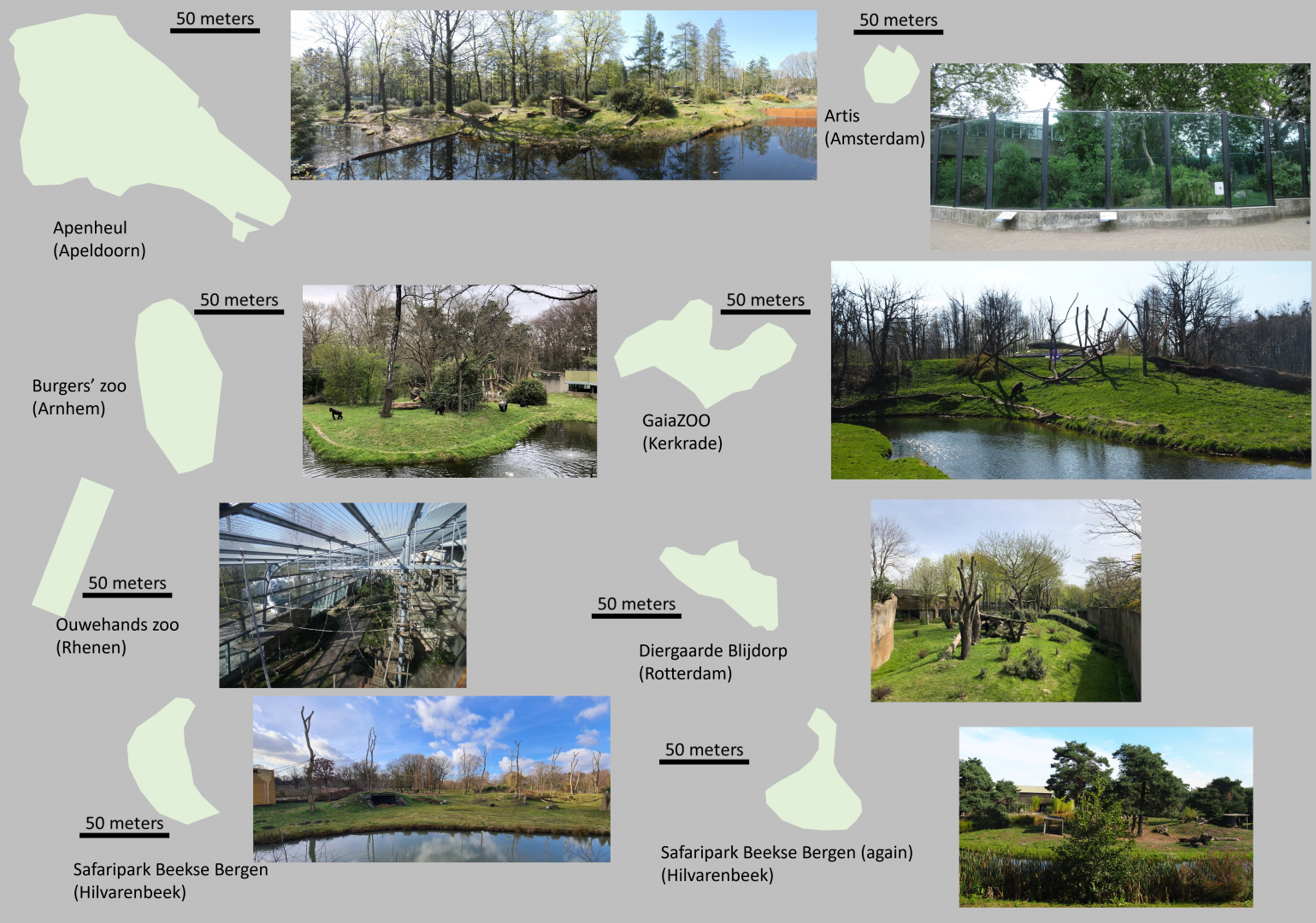 Size comparison of Gorilla habitats in the Netherlands