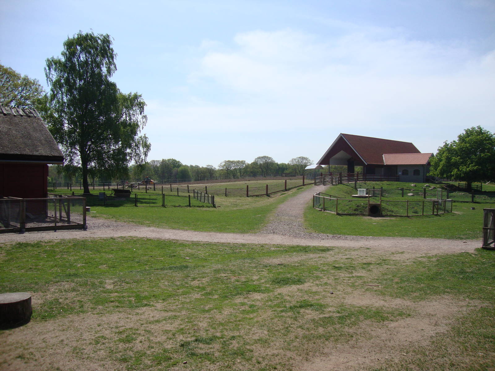 Sk?nes Djurpark May 2013