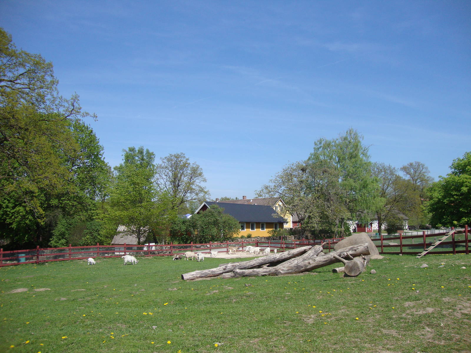 Sk?nes Djurpark May 2013