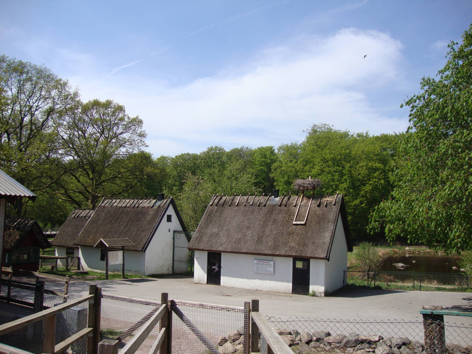 Sk?nes Djurpark May 2013