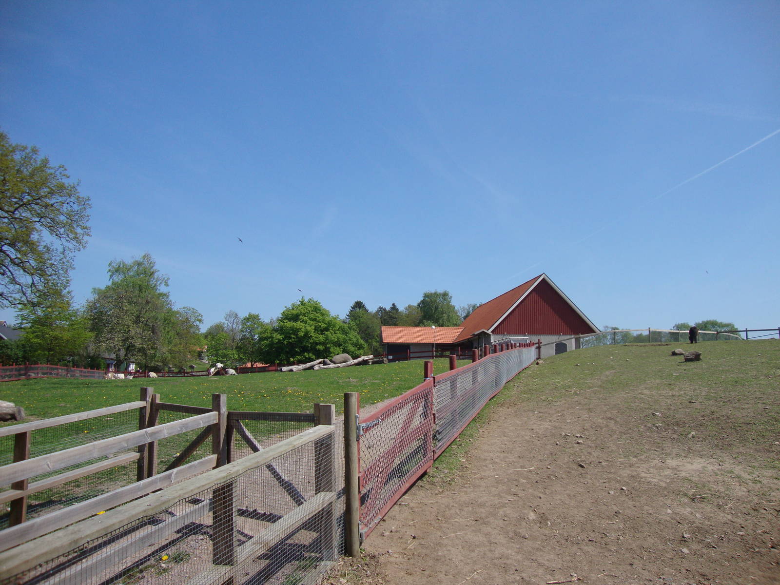 Sk?nes Djurpark May 2013