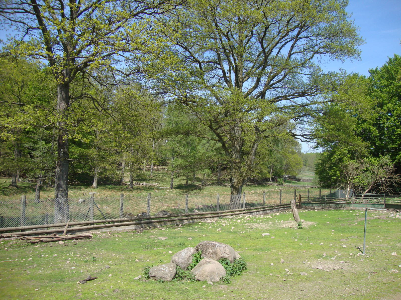 Sk?nes Djurpark May 2013