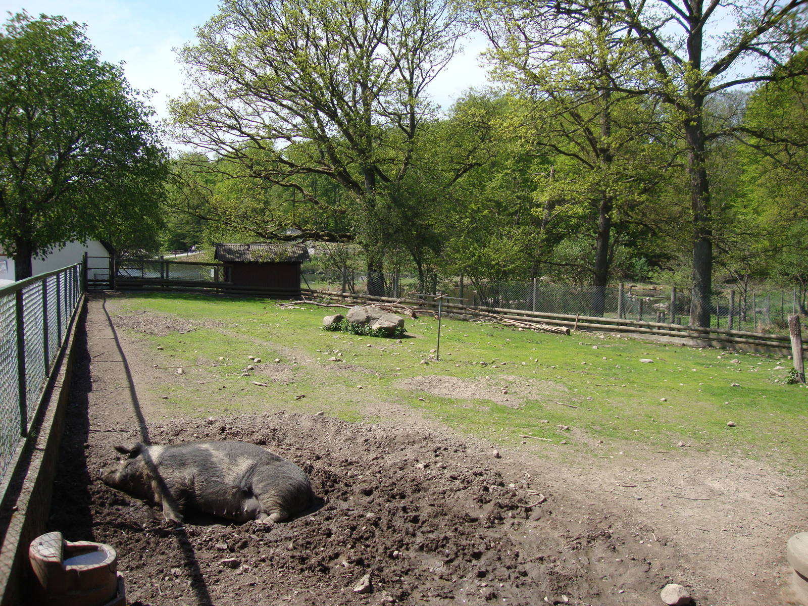 Sk?nes Djurpark May 2013