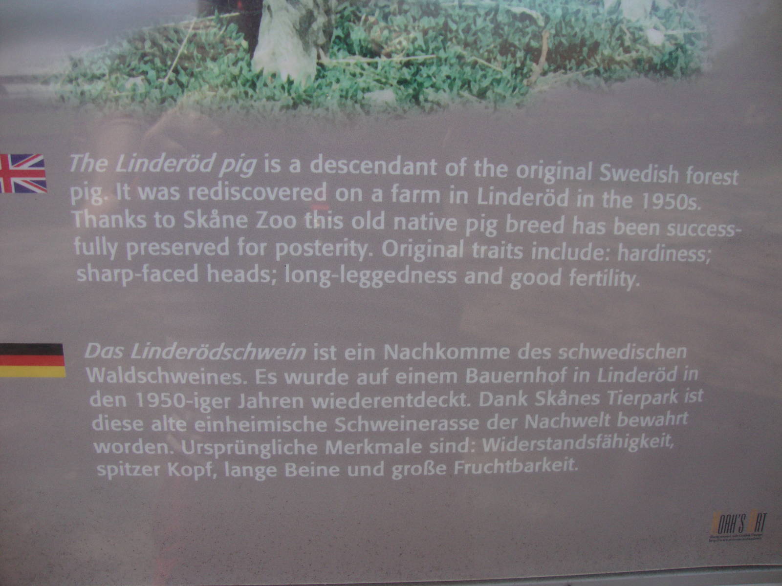 Sk?nes Djurpark May 2013