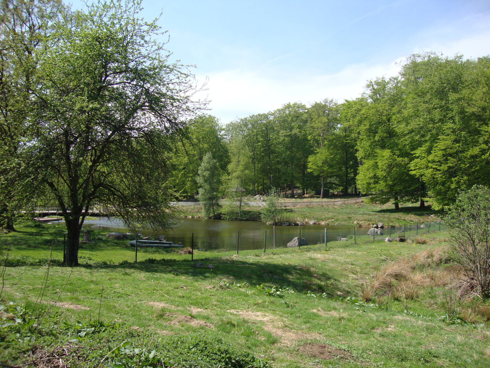 Sk?nes Djurpark May 2013