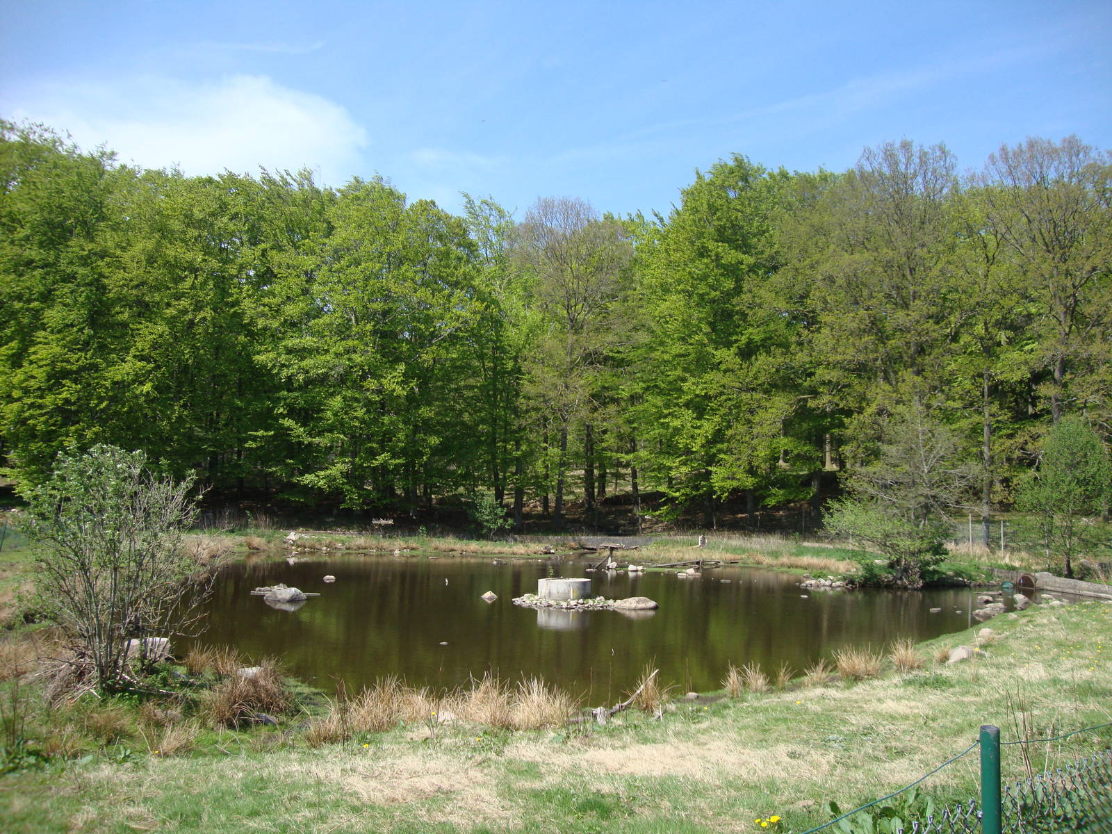 Sk?nes Djurpark May 2013