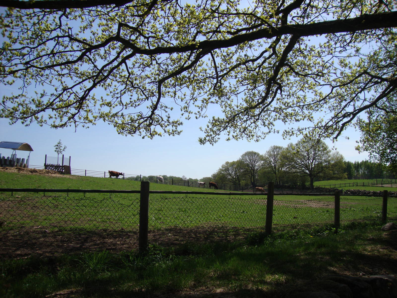 Sk?nes Djurpark May 2013