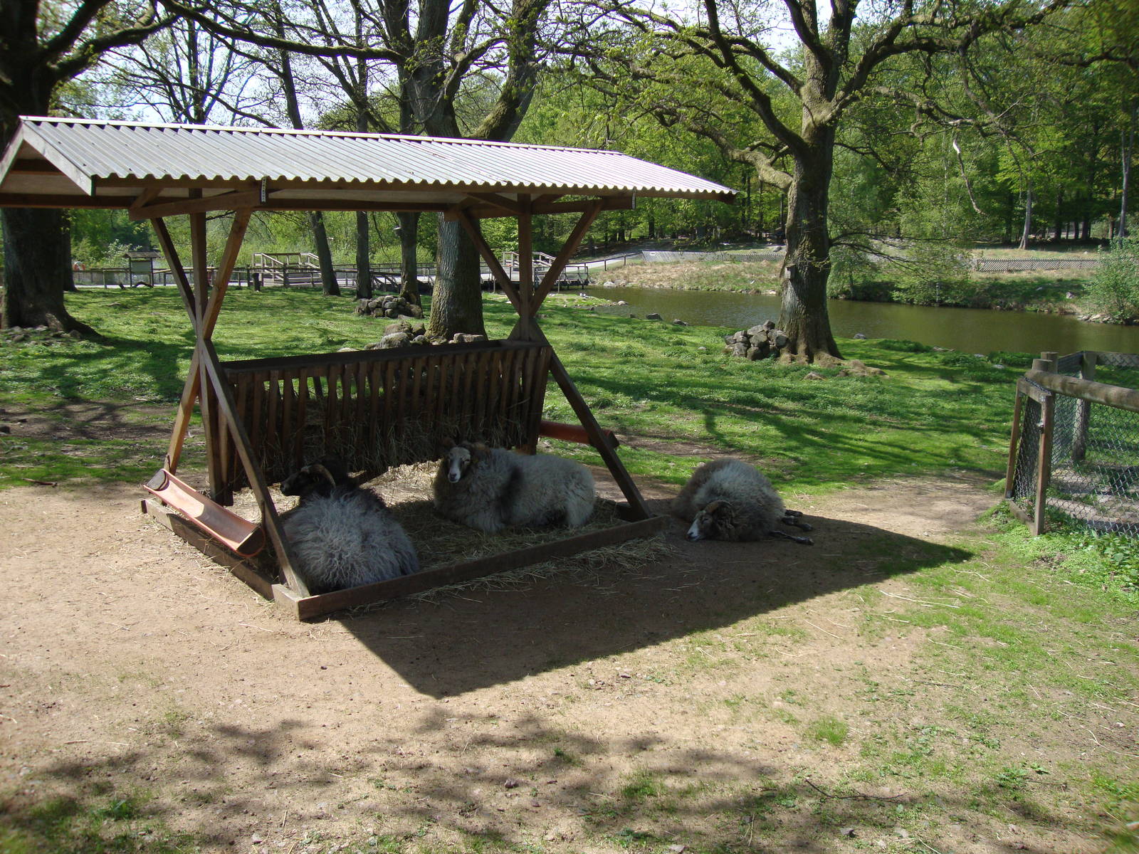 Sk?nes Djurpark May 2013