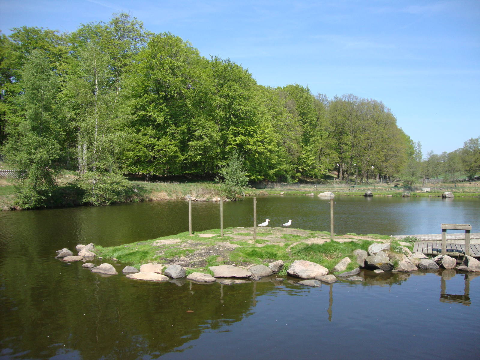 Sk?nes Djurpark May 2013