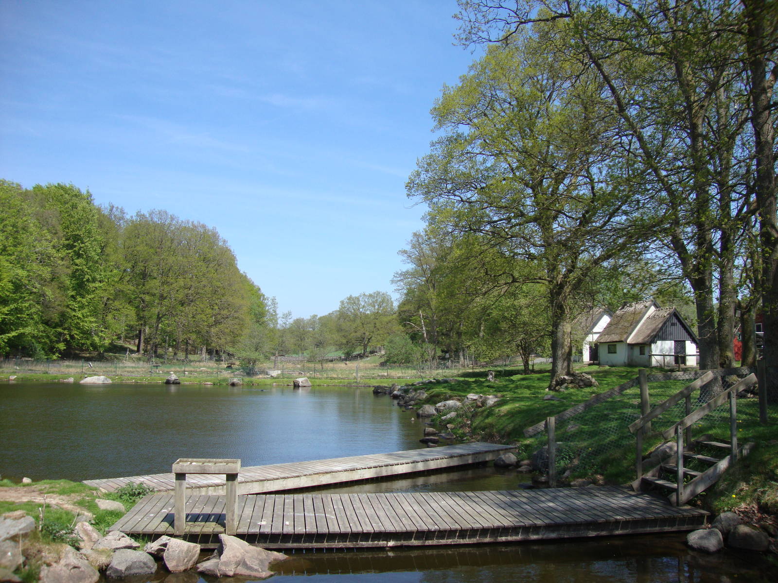 Sk?nes Djurpark May 2013