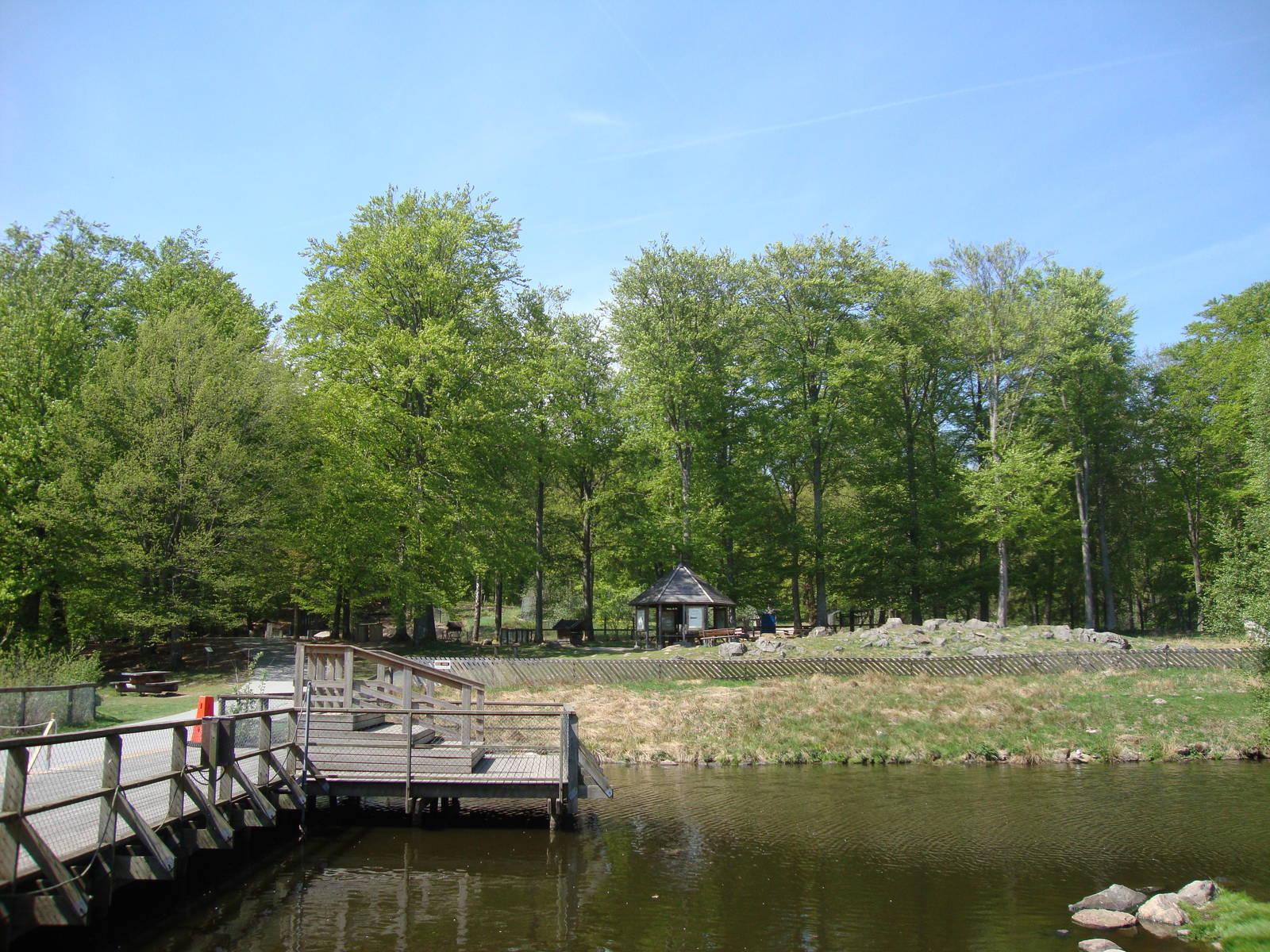 Sk?nes Djurpark May 2013