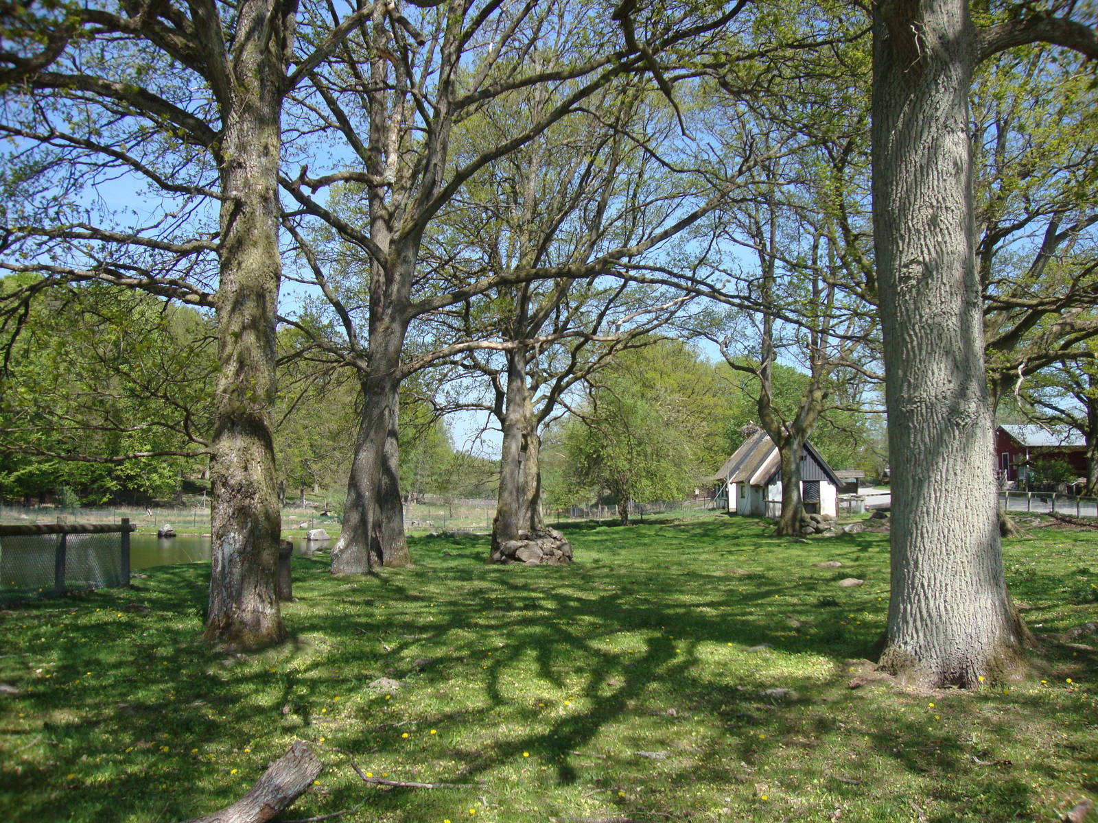 Sk?nes Djurpark May 2013