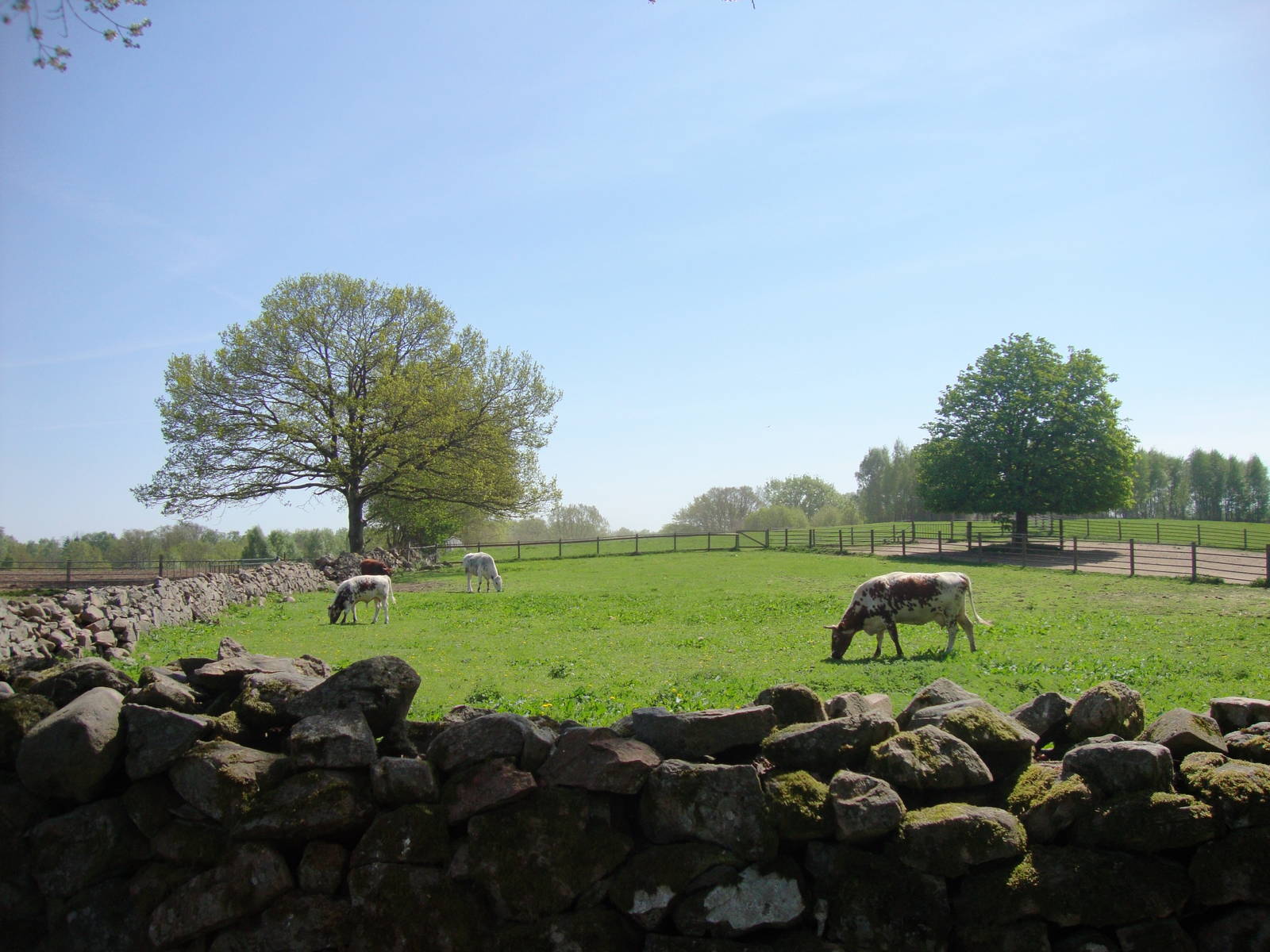 Sk?nes Djurpark May 2013