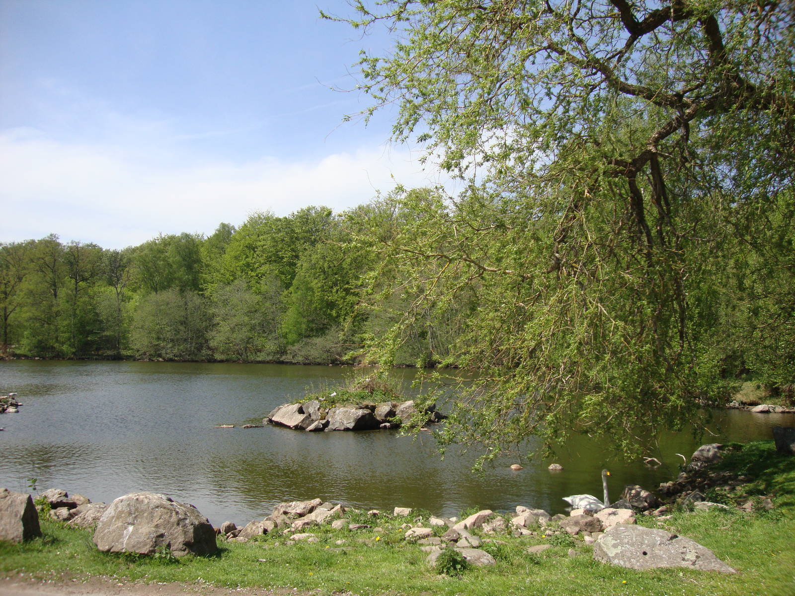 Sk?nes Djurpark May 2013