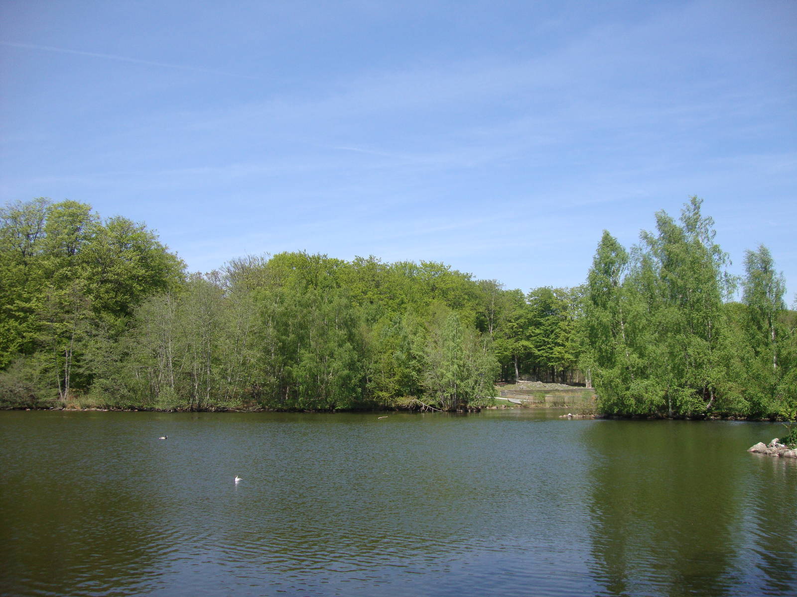 Sk?nes Djurpark May 2013