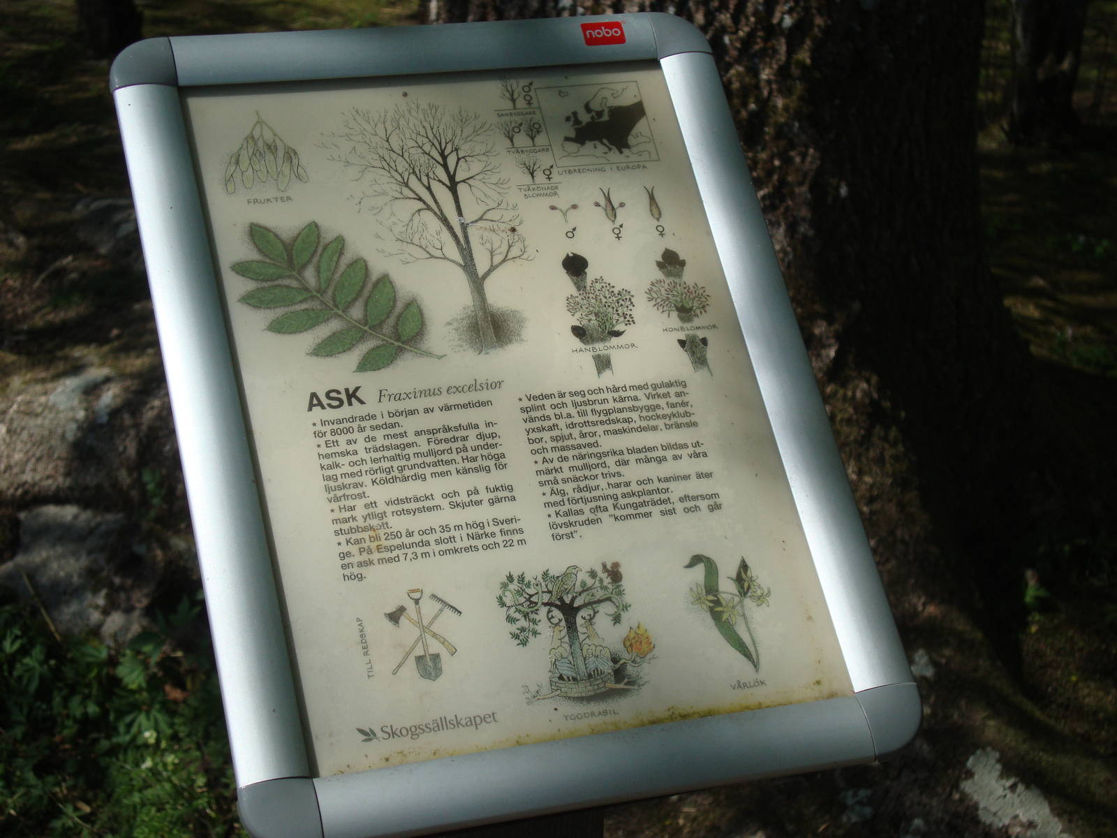 Sk?nes Djurpark May 2013