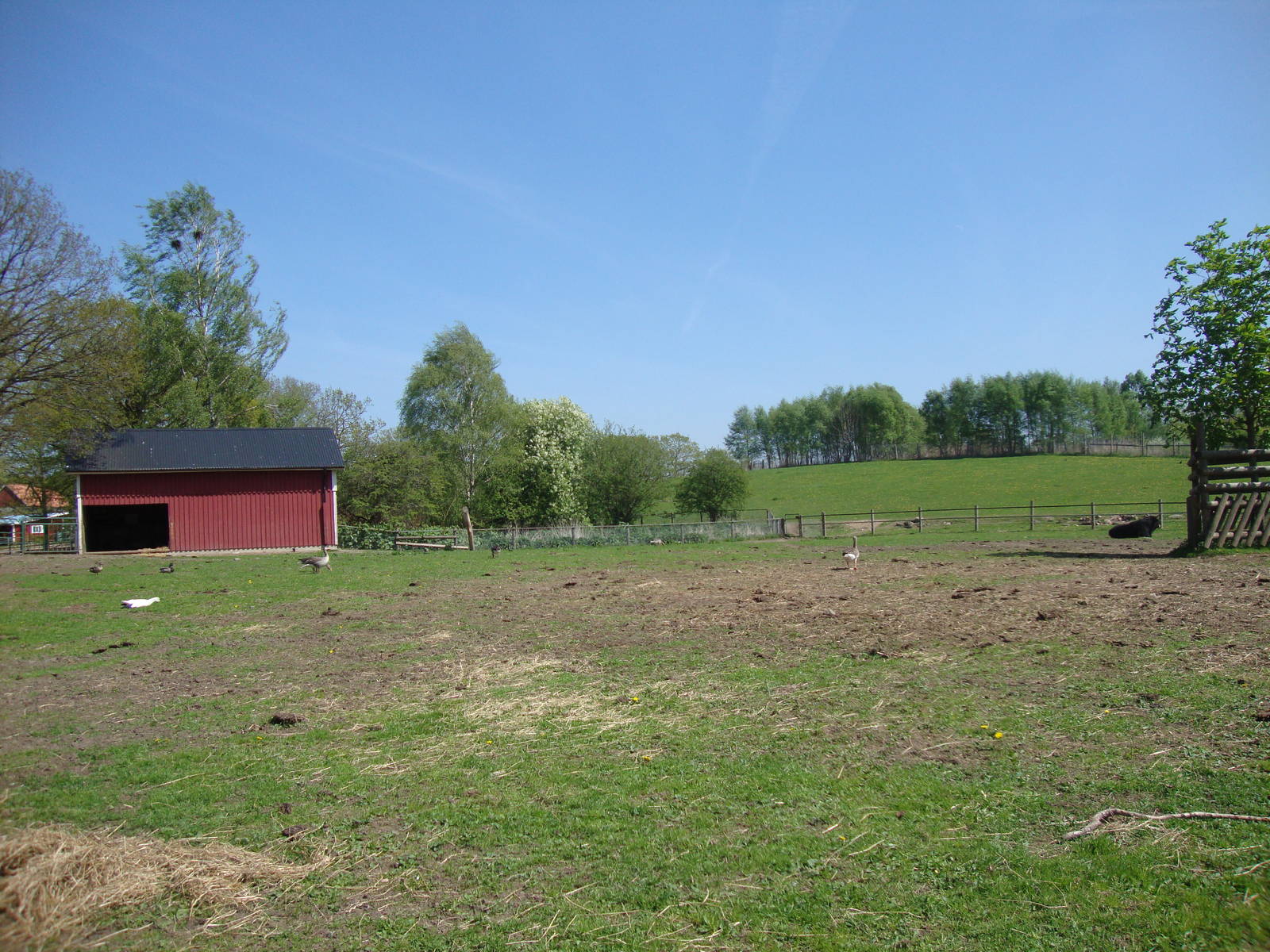 Sk?nes Djurpark May 2013