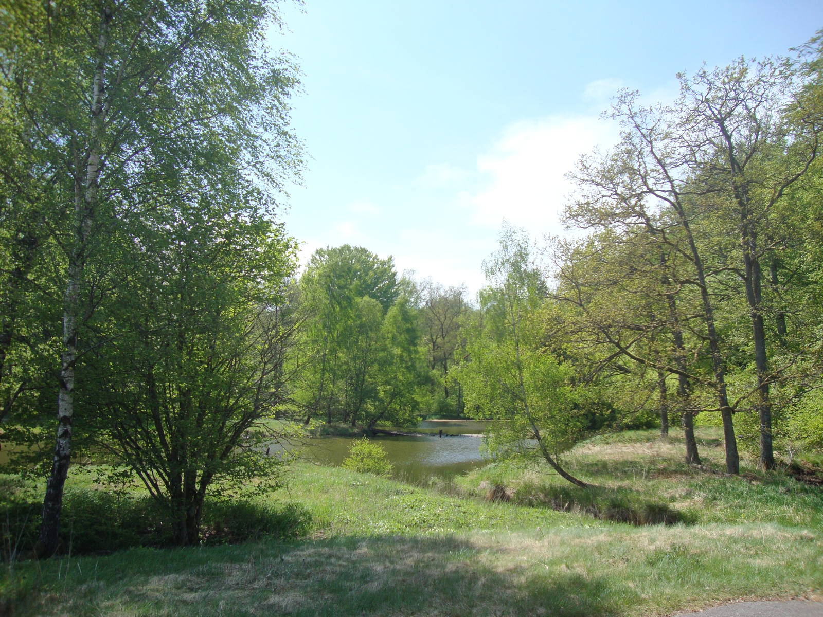 Sk?nes Djurpark May 2013