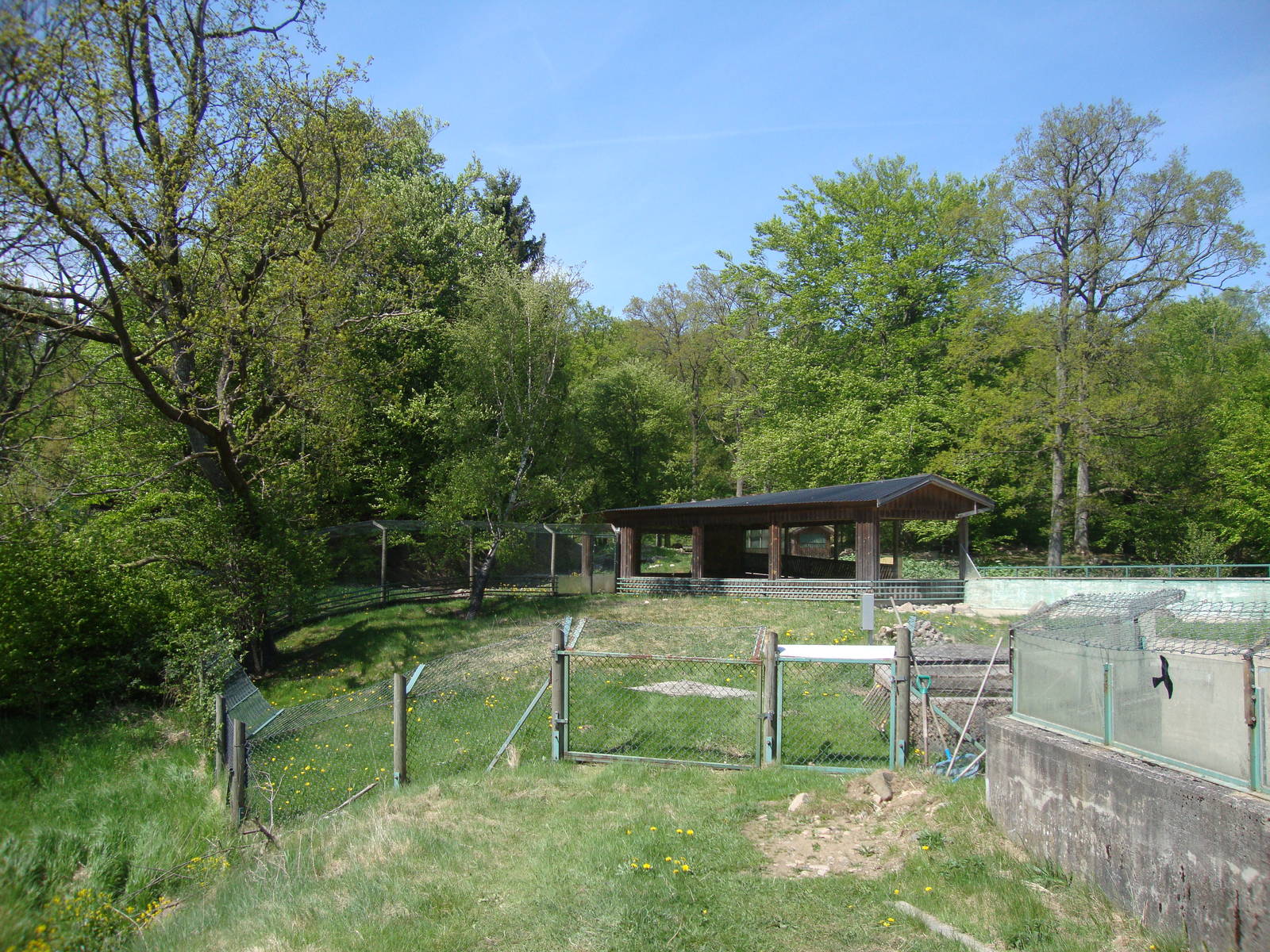 Sk?nes Djurpark May 2013